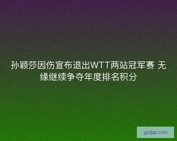 孙颖莎因伤宣布退出WTT两站冠军赛 无缘继续争夺年度排名积分