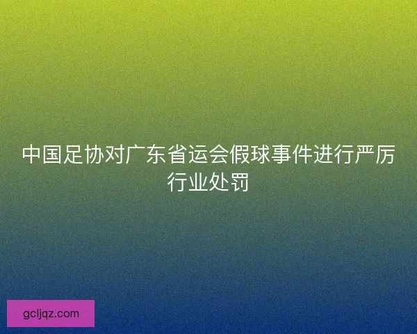 中国足协对广东省运会假球事件进行严厉行业处罚 中国足协对广东省运会假球事件进行严厉行业处罚